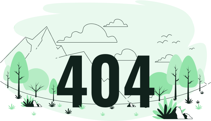 404 Error